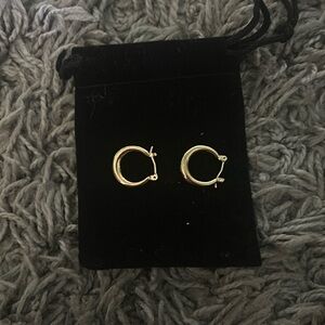Gold hoops